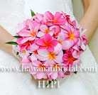 �v�������A�u�[�P